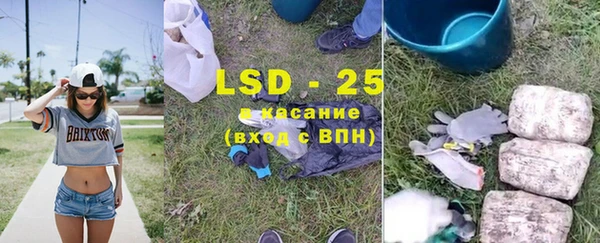 индика Армянск
