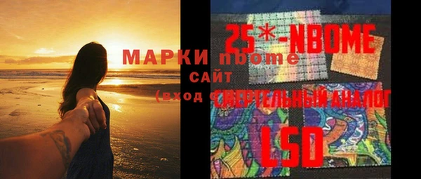 индика Армянск